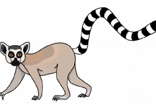 元素素材 Lemur