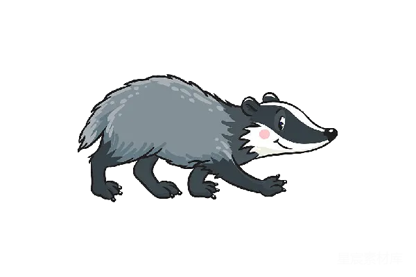 元素素材 獾