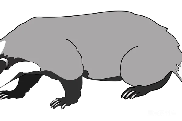 元素素材 獾