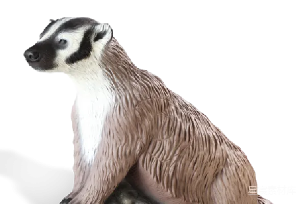 元素素材 獾