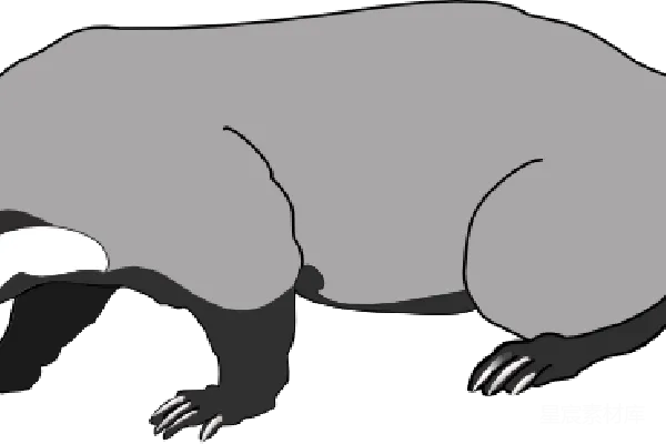 元素素材 獾