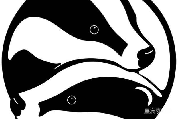 元素素材 獾