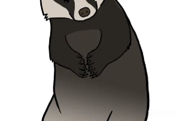 元素素材 獾