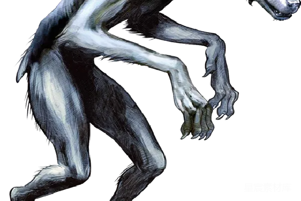 元素素材 狼人