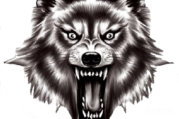 元素素材 怒吼的狼头插画