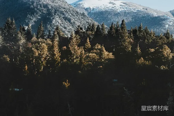 高清摄影 一个被树木环绕的湖泊，背景是高山。