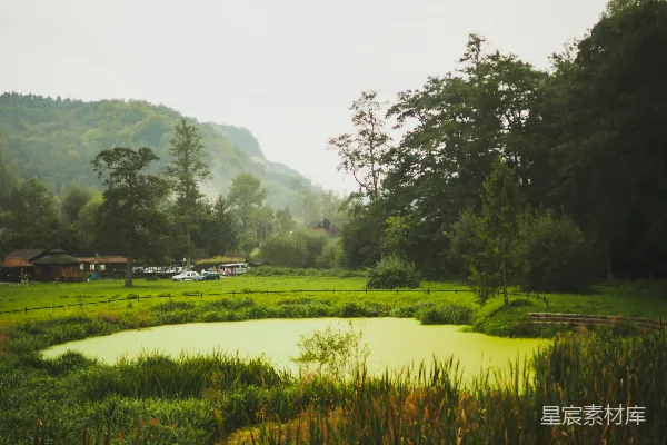 高清摄影 白天近湖绿草地上方