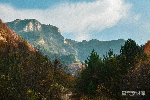 高清摄影 森林中一条土路