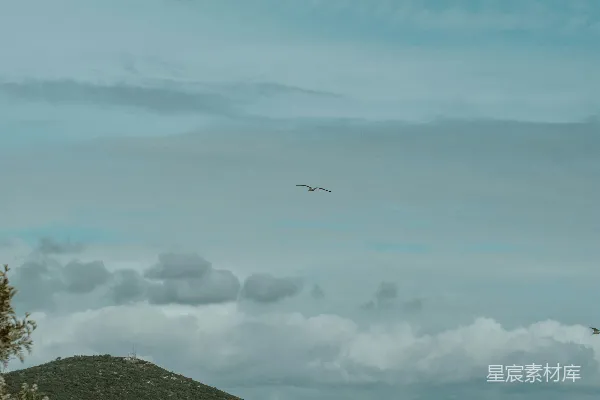高清摄影 一架飞机飞越一片翠绿的山坡上空