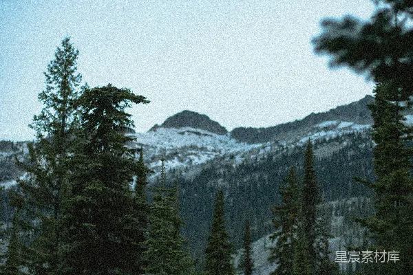 高清摄影 前景中有树木的山景