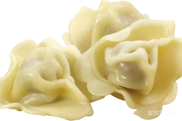 元素素材 精致饺子特写