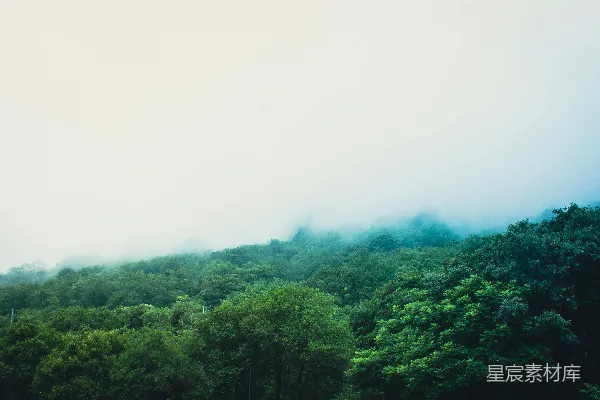 高清摄影 白天绿树下的白云天空