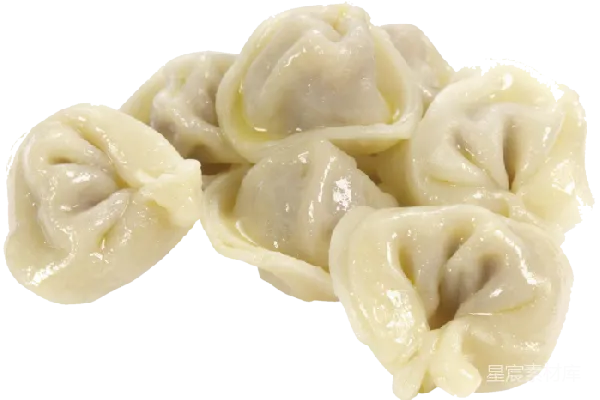 元素素材 手制饺子特写