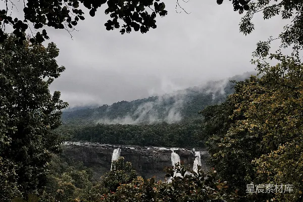 高清摄影 一群牛站在一片翠绿的山坡上