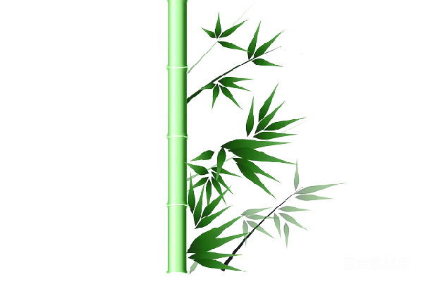 元素素材 竹子