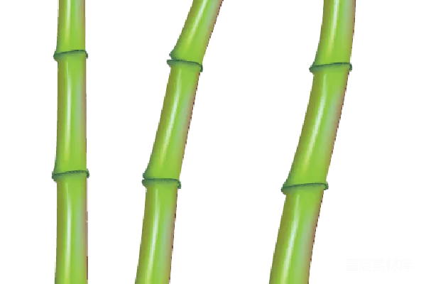 元素素材 竹子