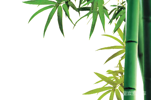 元素素材 竹子
