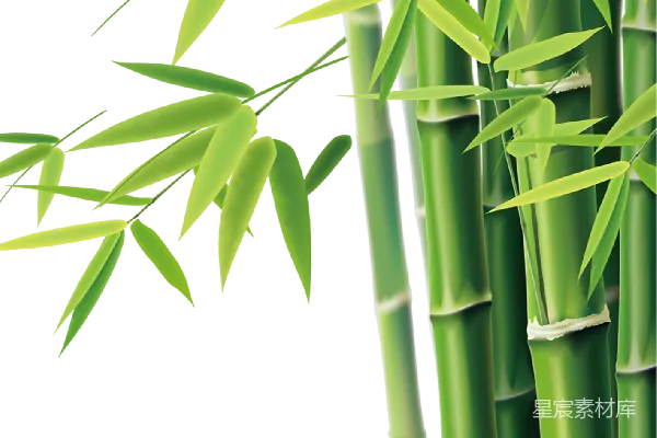 元素素材 竹子