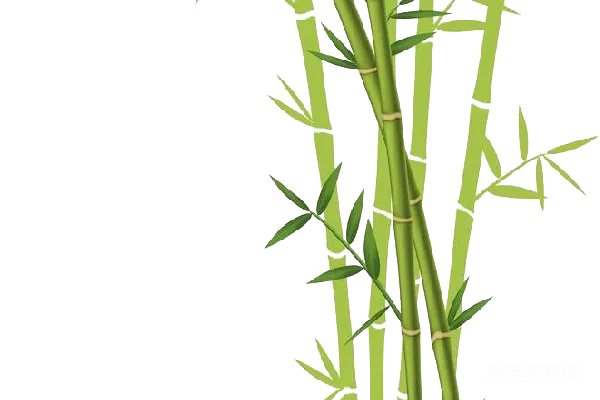 元素素材 竹子插图