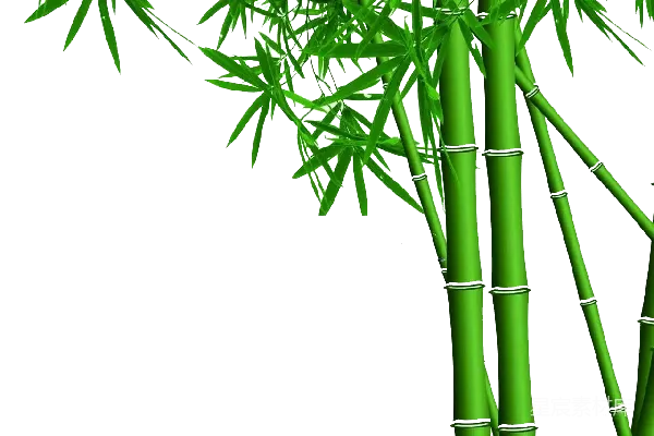 元素素材 竹子