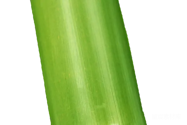 元素素材 竹子