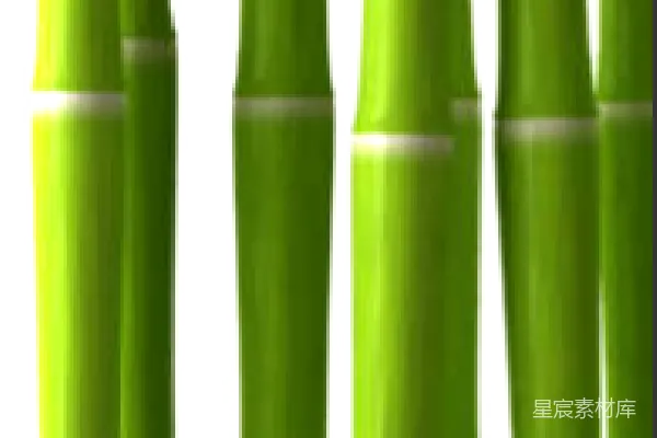 元素素材 竹子