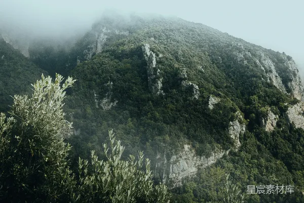 高清摄影 山上有树木