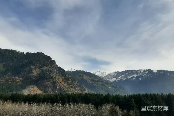 高清摄影 山前有茂密树林的风景图