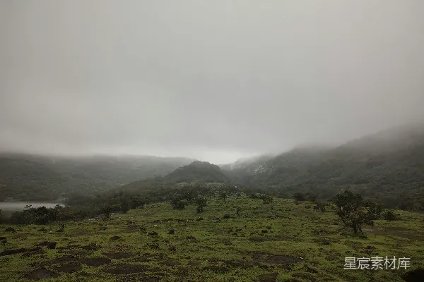 高清摄影 背景中有草丛、树木和山峰的草地