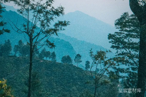 高清摄影 山顶上俯瞰的山峦和树木的景象