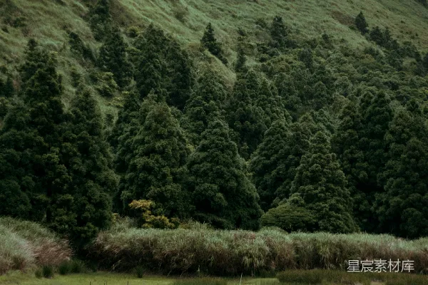 高清摄影 白天地间绿山 amidst 白天 绿山