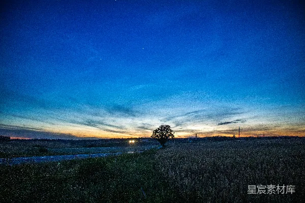 高清摄影 夕阳西下，一片麦田中。