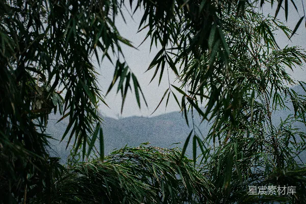 高清摄影 翠竹环绕着远处的山景。