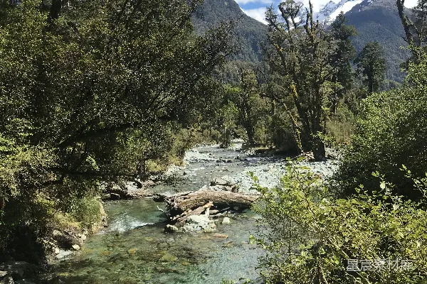 高清摄影 白天树木之间的水面风景照