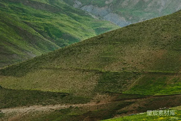 高清摄影 背景中有山的绿色山谷