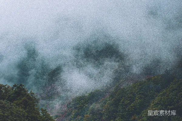 高清摄影 山中白天绿树葱葱