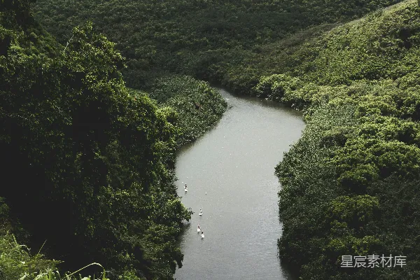 高清摄影 白天近河边的绿草田地
