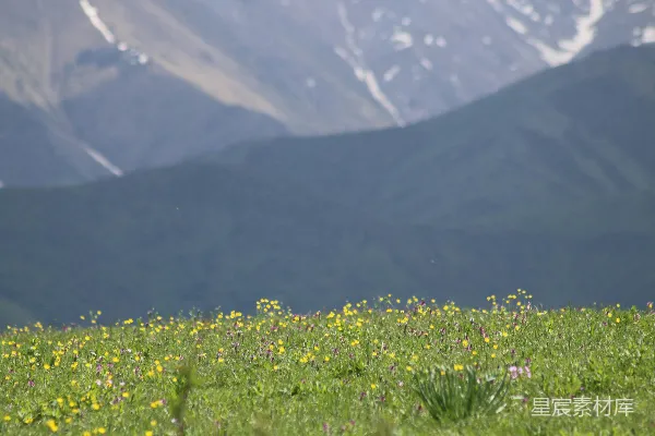 高清摄影 背景有一座山的草地上有一个草地区域