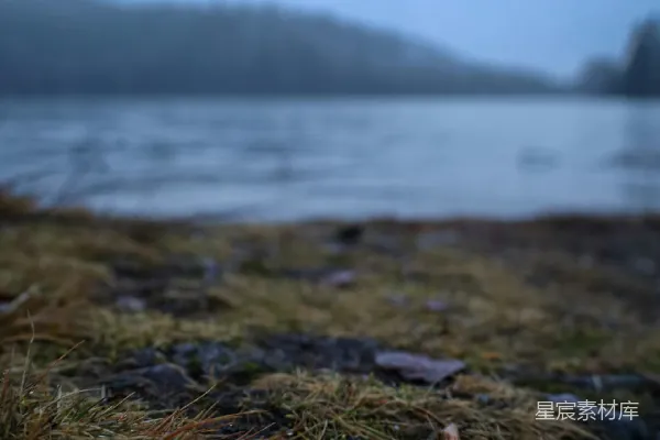 高清摄影 湖边有一片朦胧的水面和前景干枯的草地。