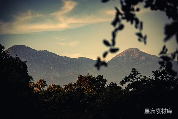 高清摄影 前景中有一片树木的山景