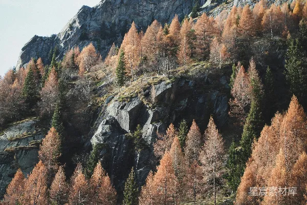 高清摄影 一座覆盖着许多树木的山旁边是一片森林。