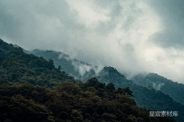 高清摄影 有树有云的风景