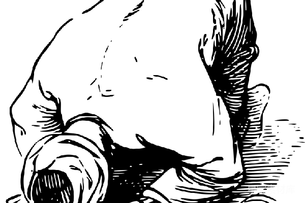 元素素材 透明