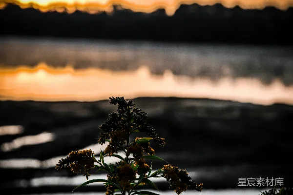高清摄影 夕阳落下在一片水域之上