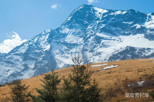 高清摄影 山峰覆盖着白雪，前景中有树木。