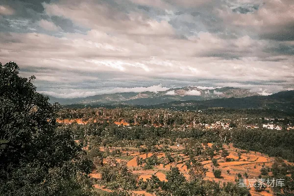 高清摄影 有树有山的风景