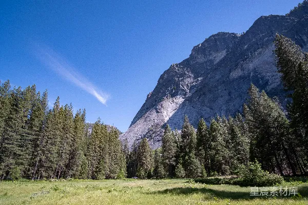 高清摄影 背景中有树林和山的草地上有一片草地。