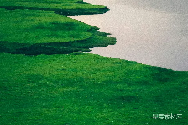 高清摄影 湖边白天近处的绿色草地