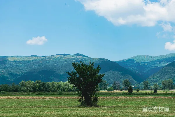 高清摄影 背景中有树和山的田野