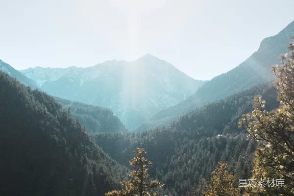 高清摄影 前景中的一片山峦景色
